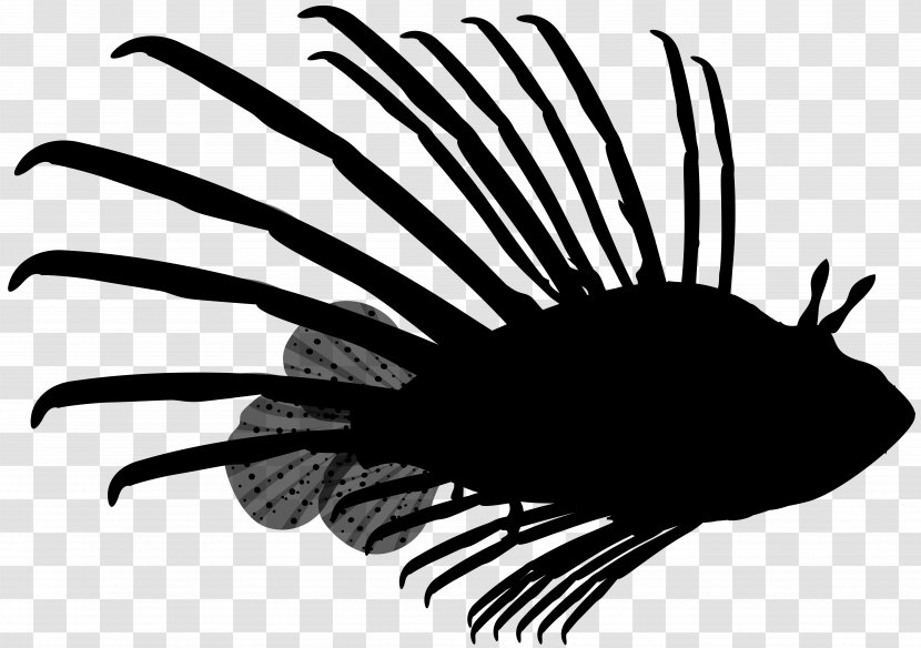 Clip Art Line Invertebrate Silhouette Black M - Claw Transparent PNG