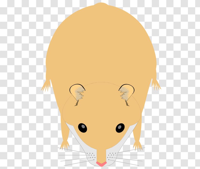 Campbell's Dwarf Hamster Rodent Roborovski Golden Djungarian - Canidae Transparent PNG