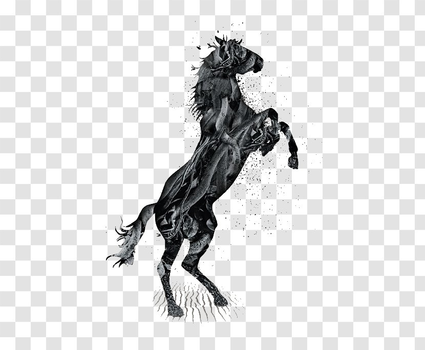 Mustang Rearing Silhouette - Drawing - Dark Horse Transparent PNG