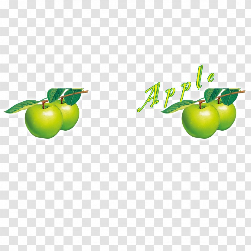 Apple Juice Granny Smith Manzana Verde - Green Transparent PNG