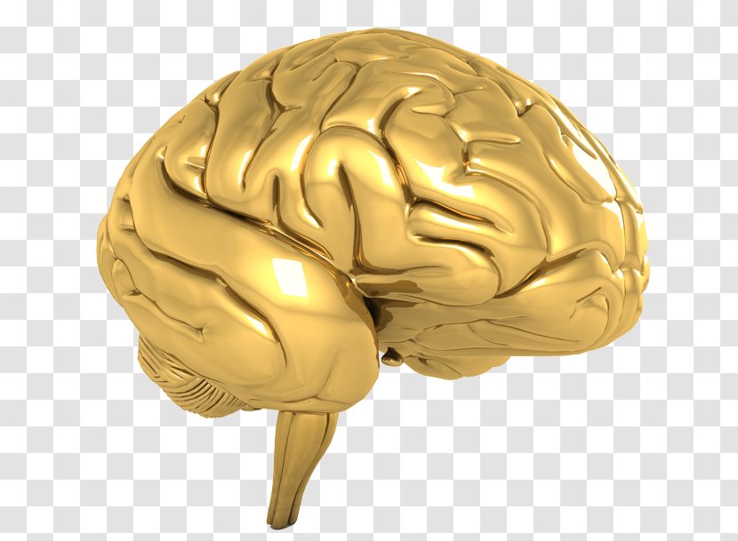 Human Brain Agy Cognitive Training - Flower - Golden Texture Effect Transparent PNG