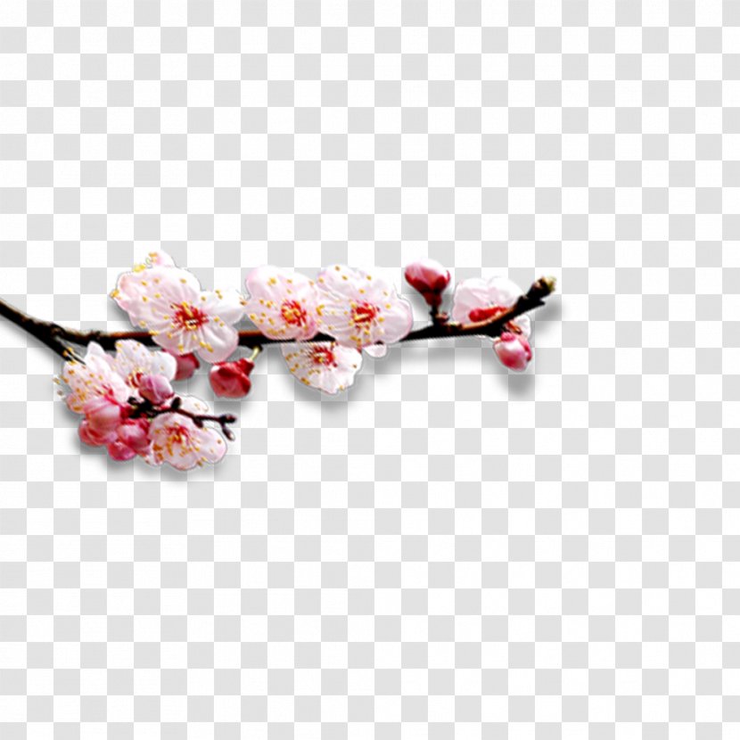 Designer - Pink - Blooming Peach Branches Transparent PNG