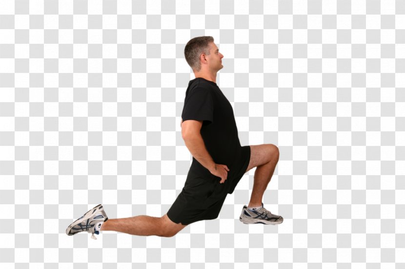 Active Stretching Iliopsoas Psoas Major Muscle Hip - Heart - Legs Transparent PNG