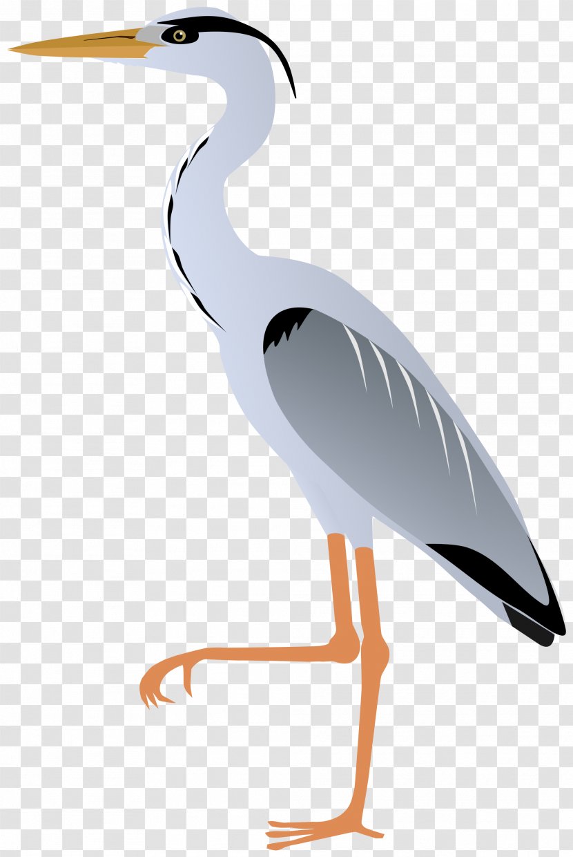 Crane Bird Grey Heron Great Egret Blue Transparent PNG