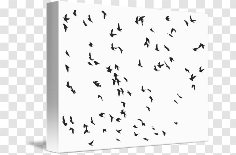 Bird Flock Gulls Flight Common Starling - Crows Transparent PNG