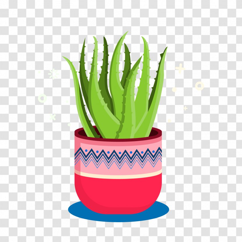 Aloe Vera Download - Artworks - Vector Transparent PNG