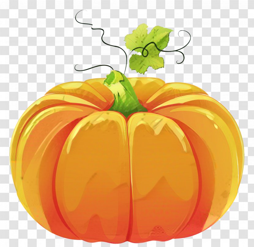 Pumpkin Pie Field Crookneck Cucurbita Maxima - Vegetarian Food - Calabaza Transparent PNG