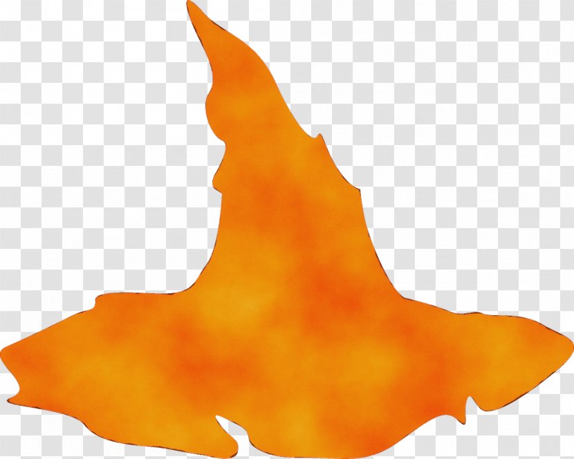 Orange - Flame Transparent PNG