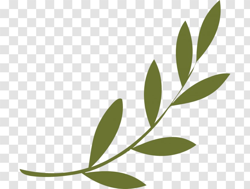 Olive Branch Peace Symbols Wreath - Symbol Transparent PNG