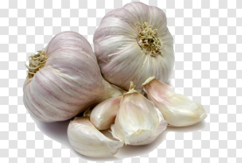 Garlic Scape Bulb Clove Food - Onions Transparent PNG