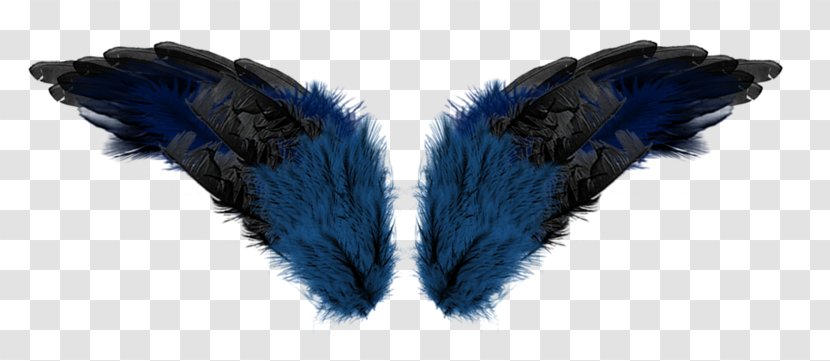 Feather Wing Aile - Fur - Blue Wings Transparent PNG