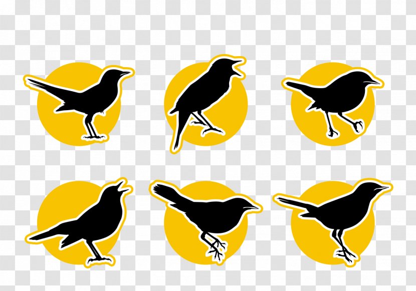 Clip Art - Yellow - Cartoon Bird Crow Icon Transparent PNG