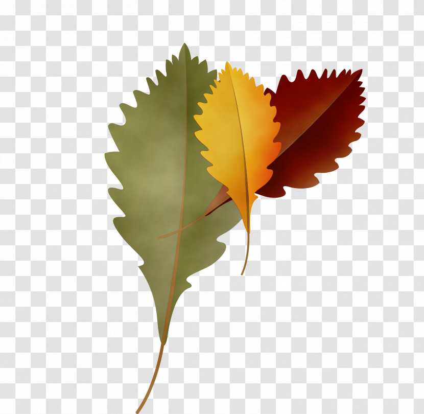 Maple Leaf Transparent PNG