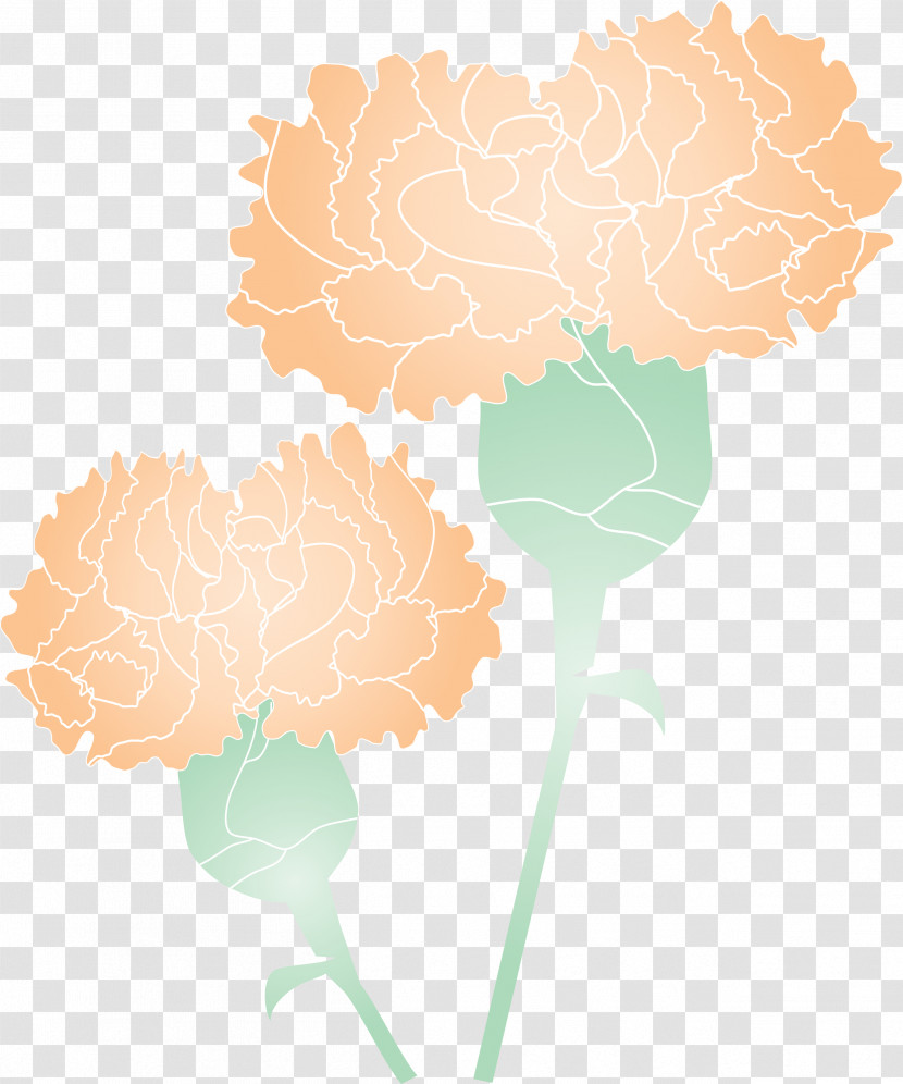 Mothers Day Carnation Mothers Day Flower Transparent PNG