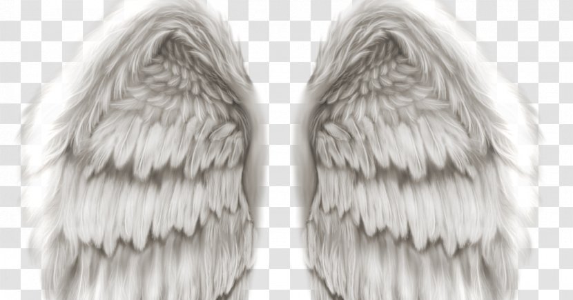 Angel Wing Clip Art - No. 1 Transparent PNG