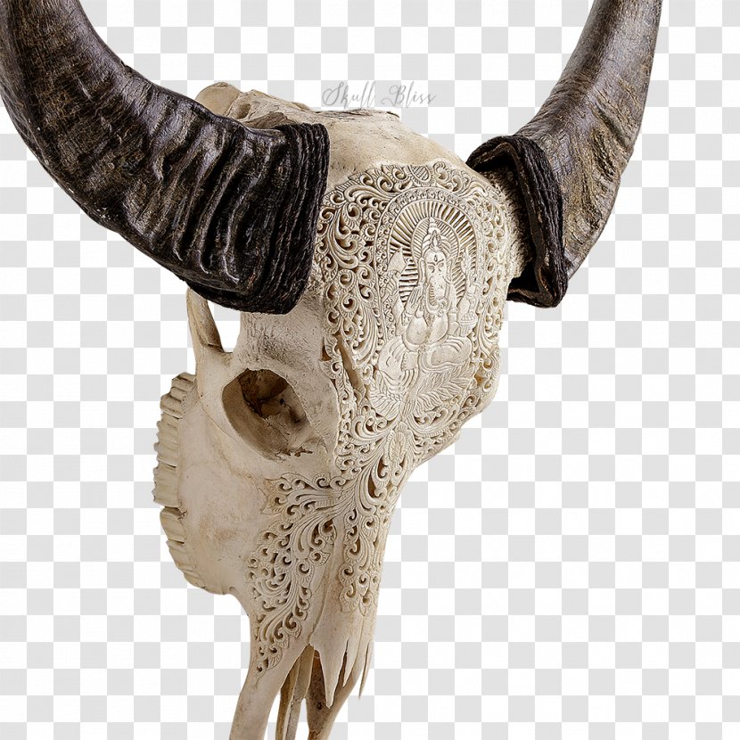 Ganesha Skull Horn Deity Cattle - Elephantidae - Buffalo Transparent PNG