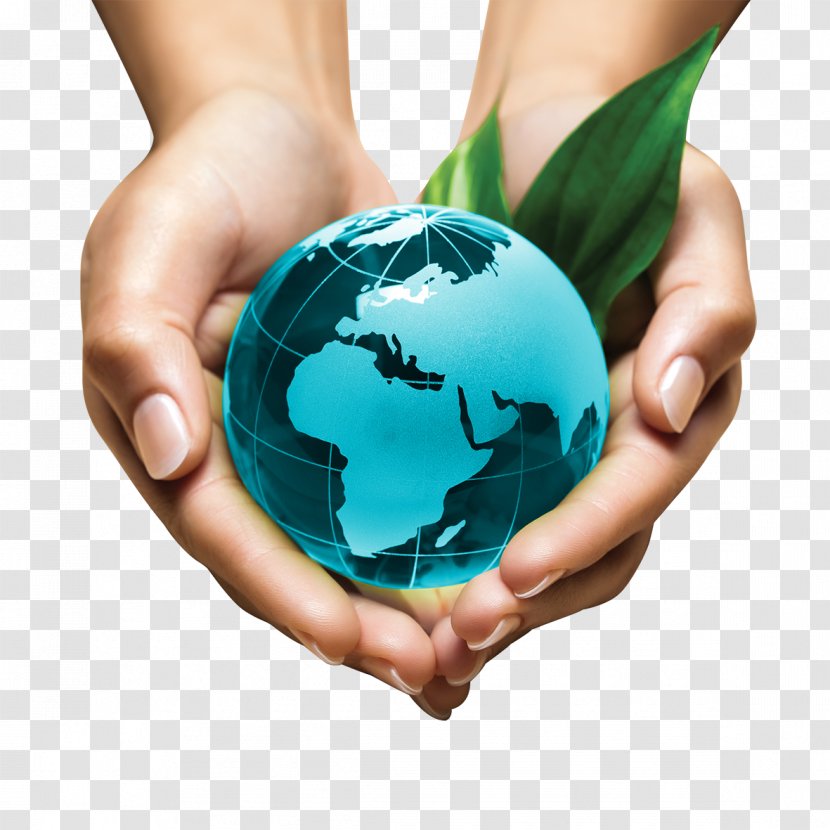 Natural Environment Environmentally Friendly Sustainability Sustainable Business Science Transparent PNG