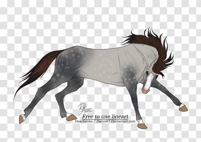 Mustang Stallion Foal Mare Colt - Livestock Transparent PNG