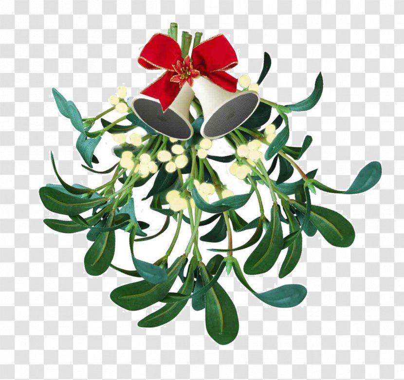 Mistletoe Kissing Traditions Phoradendron Tomentosum Christmas - Decoration Transparent PNG