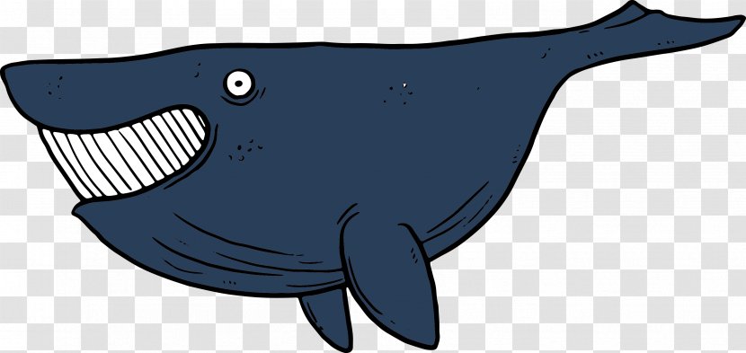 Shark Clip Art - Cartoon Animals Transparent PNG