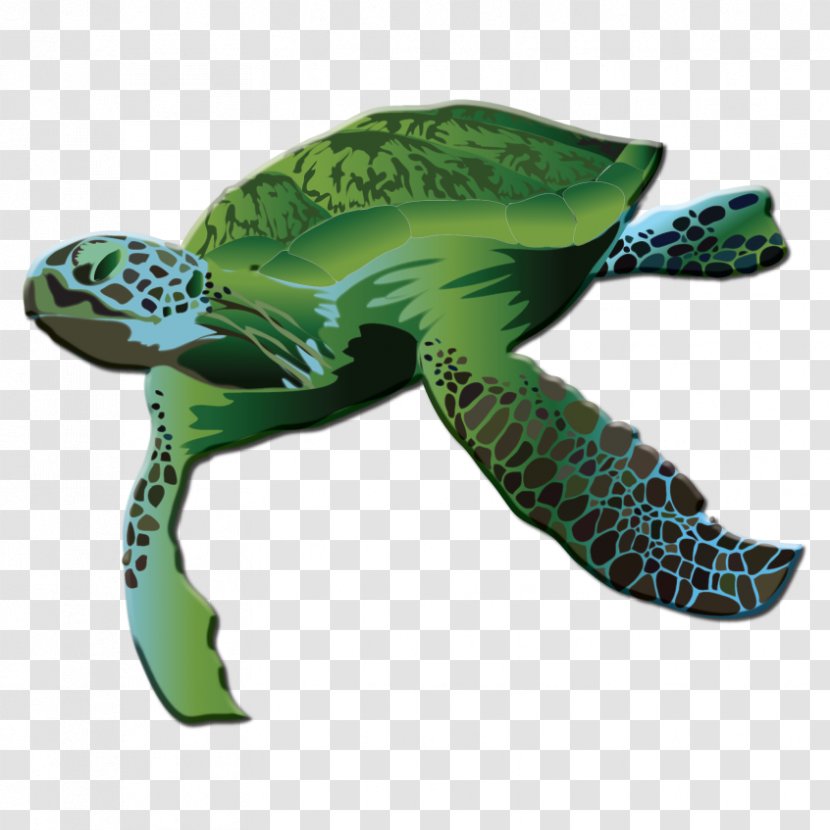 Green Sea Turtle Reptile Logo - Logos Transparent PNG