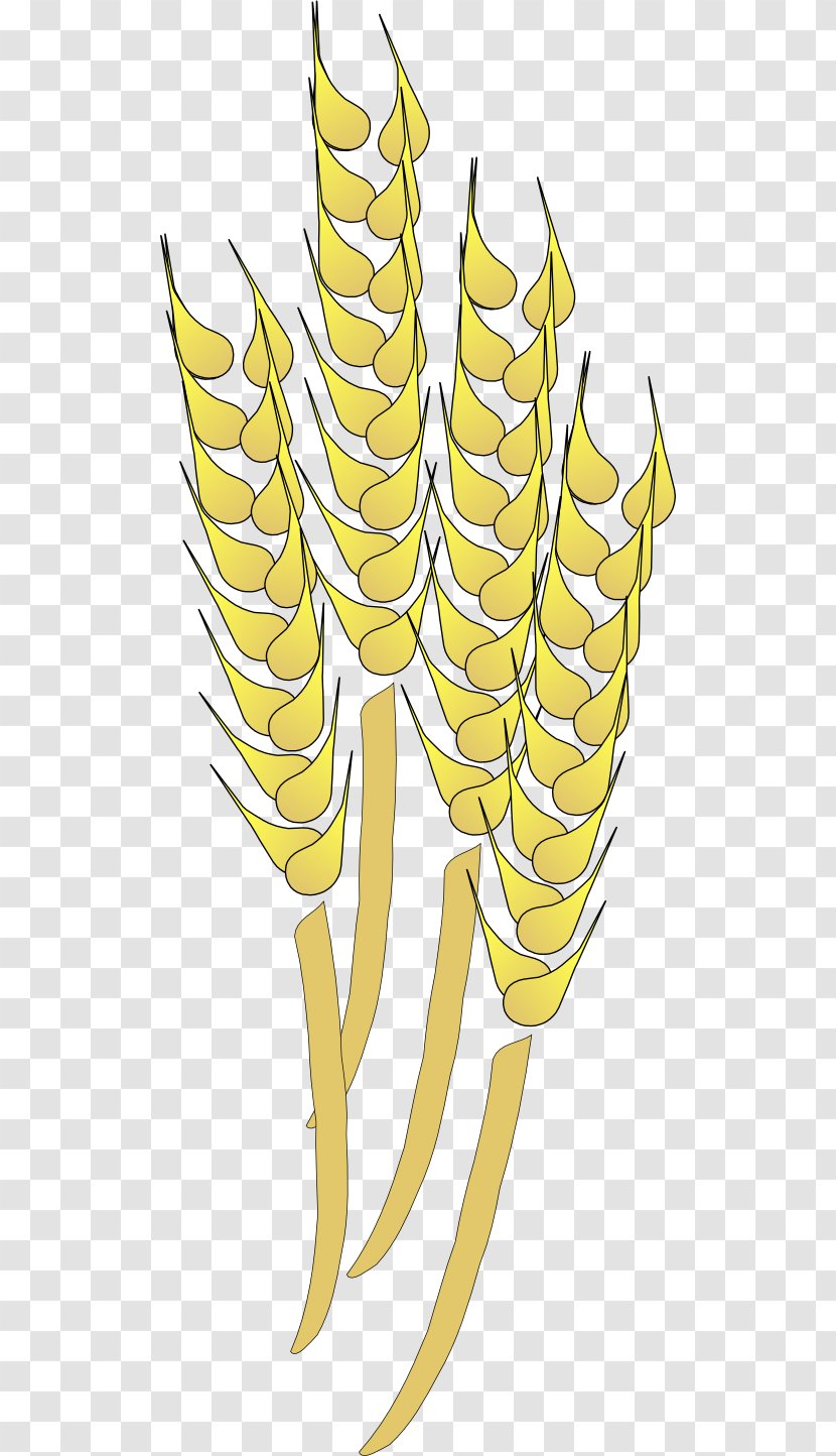 Wheat Ear Clip Art - Wing Transparent PNG