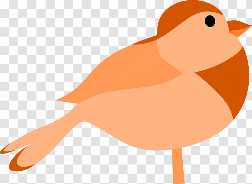 Bird Clip Art - Fauna Transparent PNG