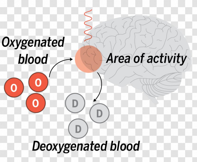 Brand Human Behavior Brain Organism - Watercolor Transparent PNG