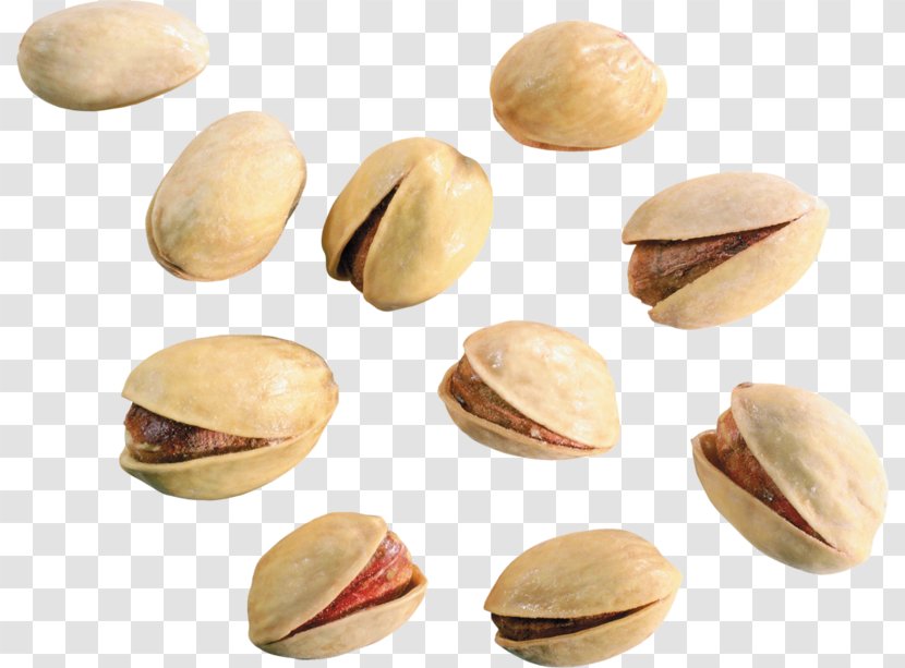 Pistachio Nut Digital Image Clip Art - Ingredient - Some Pistachios Transparent PNG