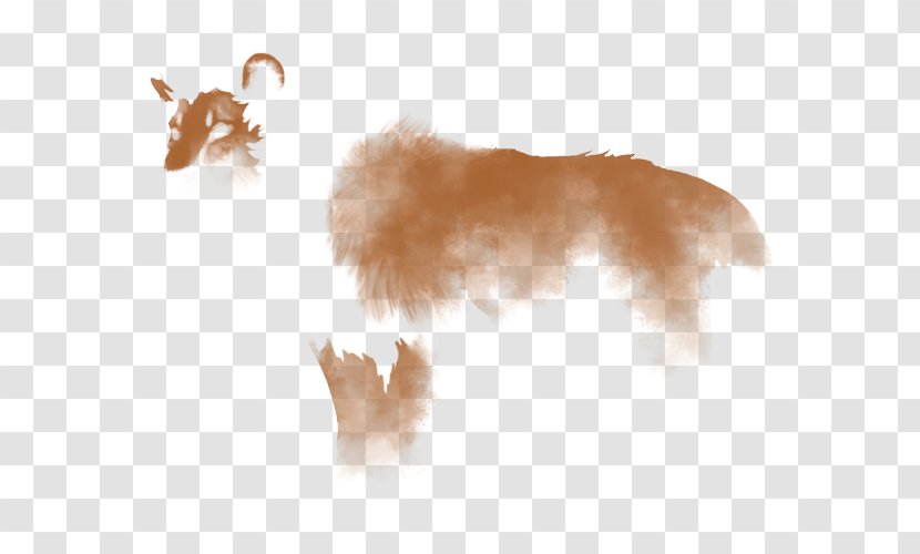 Dog Cheetah Felidae Red Smudge Lion - Carnivoran Transparent PNG