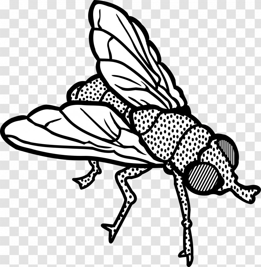 Insect Fly Clip Art - Common Green Bottle Transparent PNG
