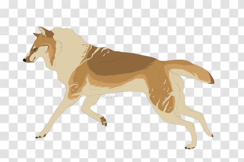 Dog Breed Dingo Canidae Mammal - Fur Transparent PNG