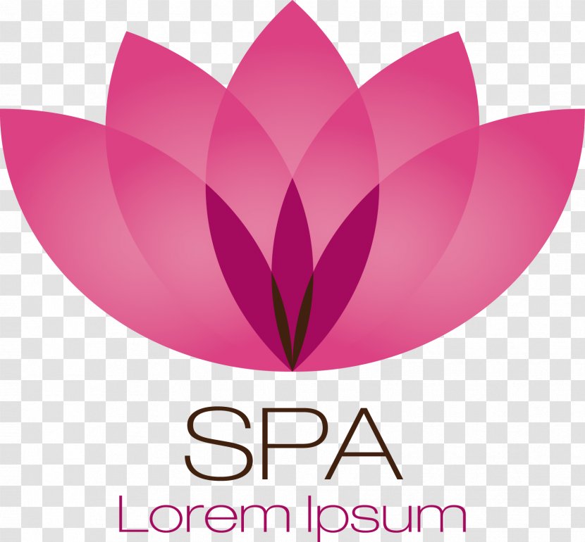Massage Spa Manicure Hand Pedicure - Gruppo Sigla S R L - Decorative Lotus Logo Transparent PNG