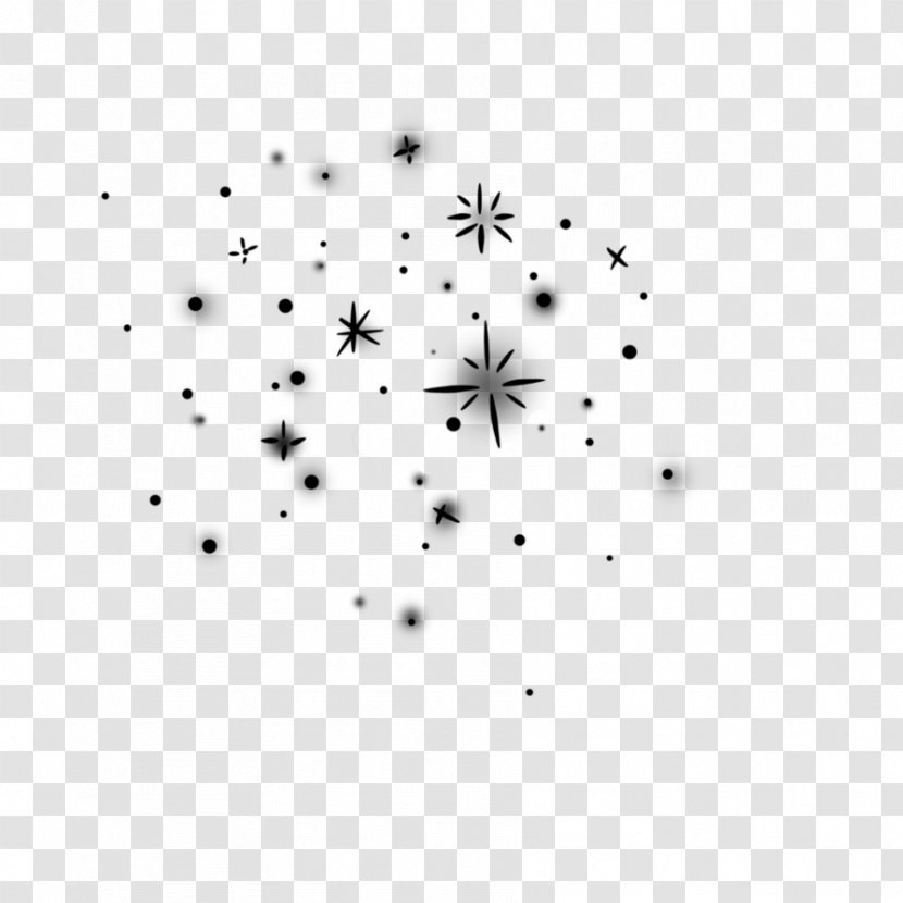 Fireworks Art - White - Plant Blackandwhite Transparent PNG