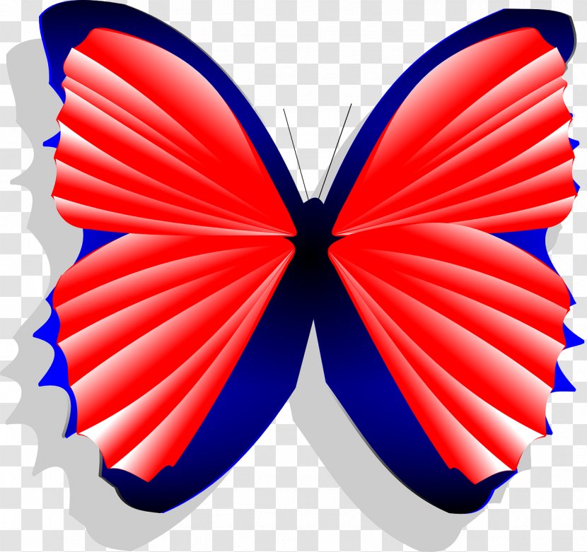 Butterfly Blue Red Limenitis Arthemis Clip Art - Wing - Tricolor Transparent PNG
