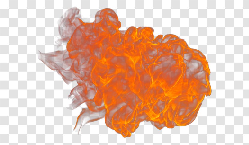 Organism - Orange Transparent PNG