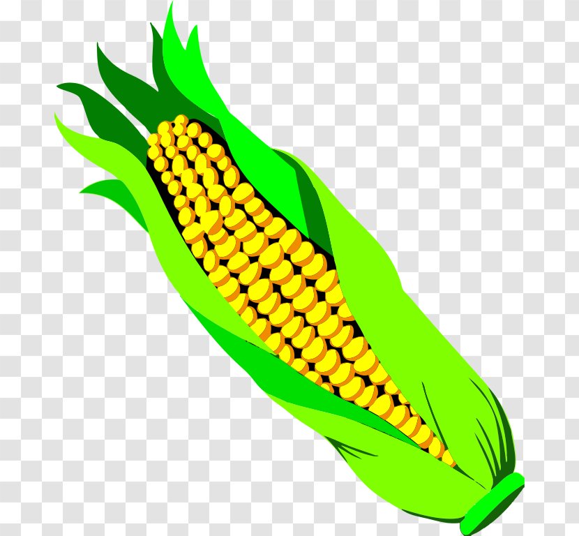 Corn On The Cob Popcorn Maize Candy Clip Art - Ear Of Clipart Transparent PNG