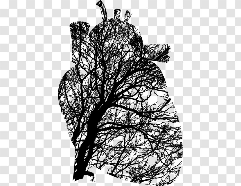 Lung Heart Clip Art - Drawing Transparent PNG