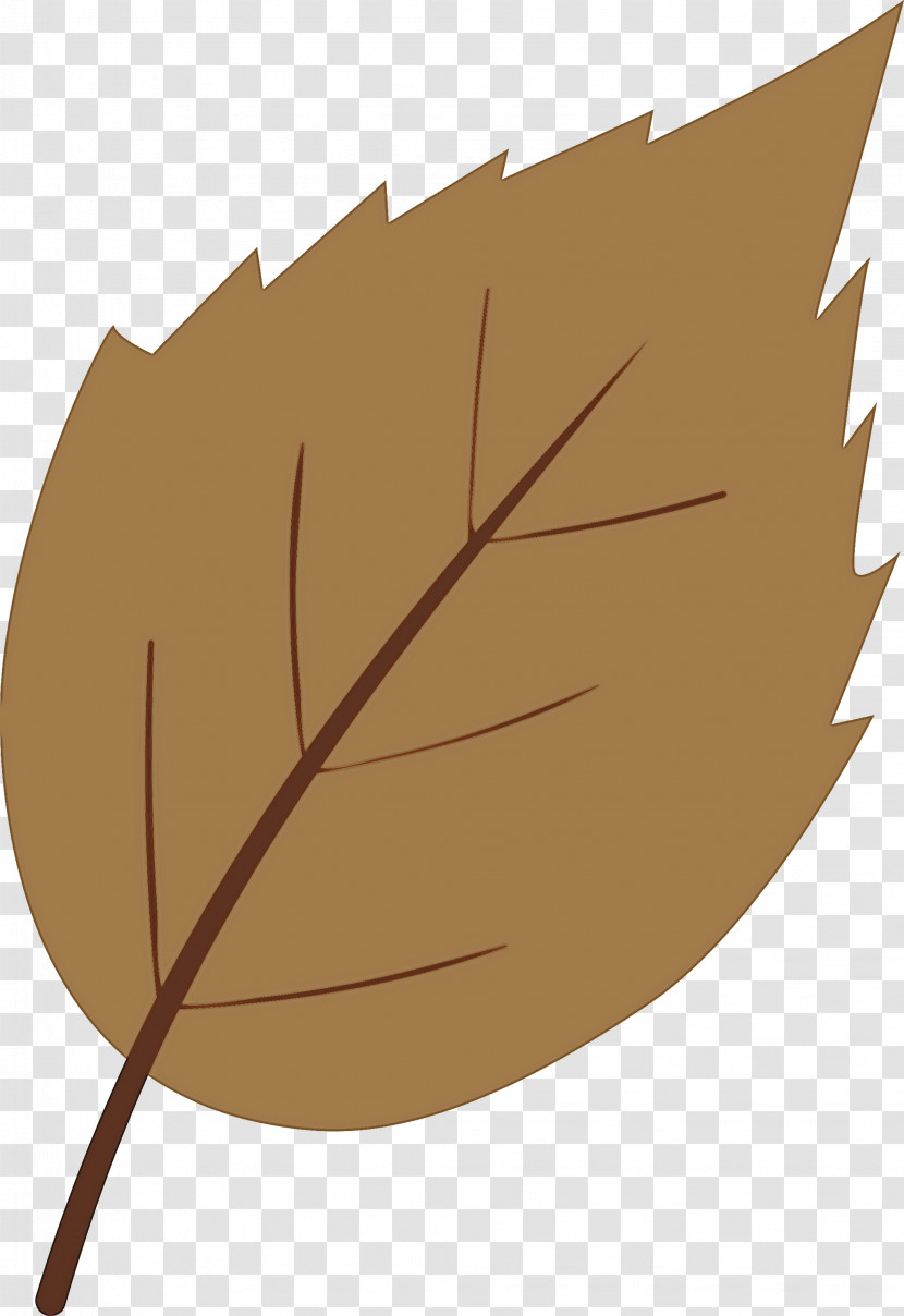 Leaf Brown Tree Plant Woody Plant Transparent PNG