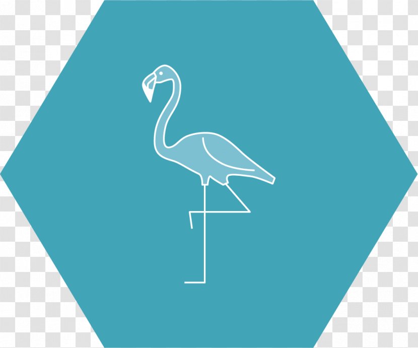 Organization Energy Consultant System - Flamingos Transparent PNG