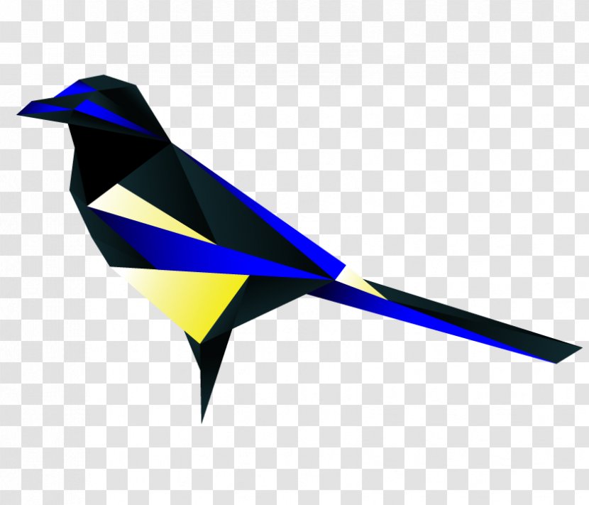 Bird Australian Magpie A Tiding Of Magpies The Forgotten Grimoire - Wing Transparent PNG