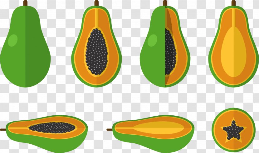Pumpkin Fruit Euclidean Vector Papaya Icon - Organism Transparent PNG