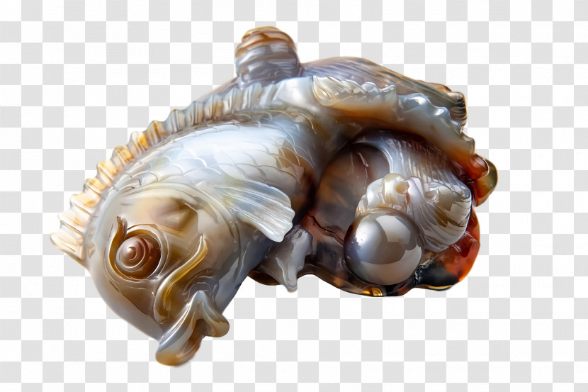 Sea Snail Conch Snail Sea Transparent PNG