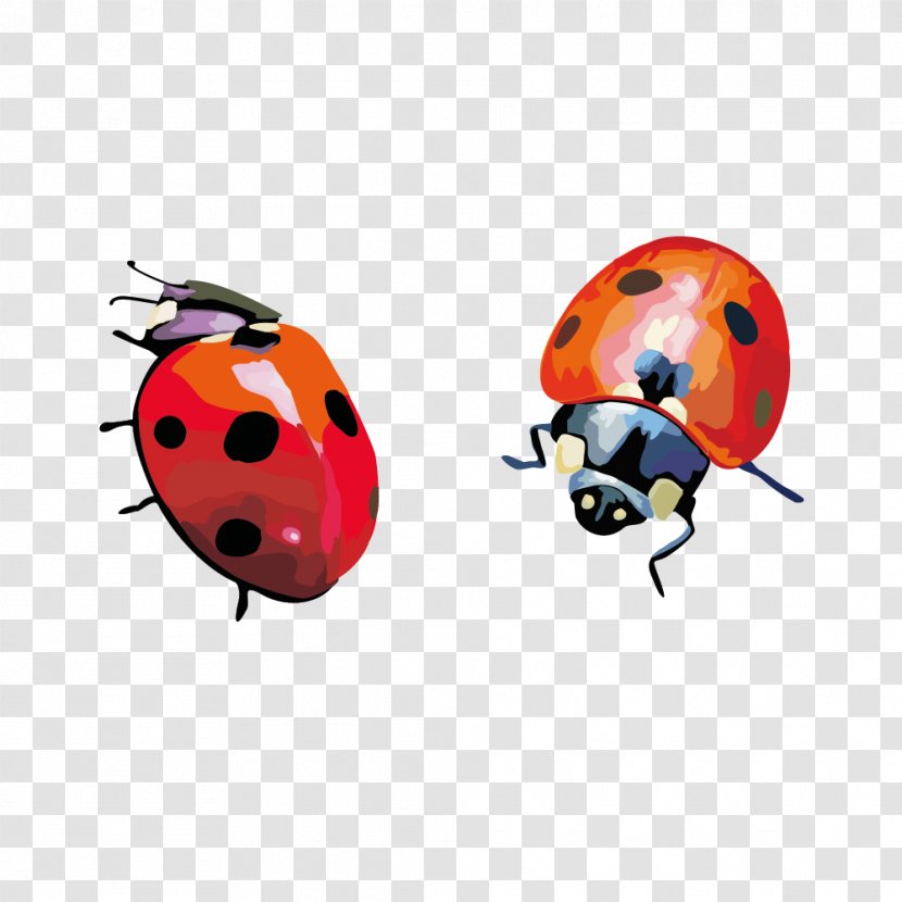 Coccinella Septempunctata Insect Clip Art - Hand-painted Ladybug Vector Material Transparent PNG