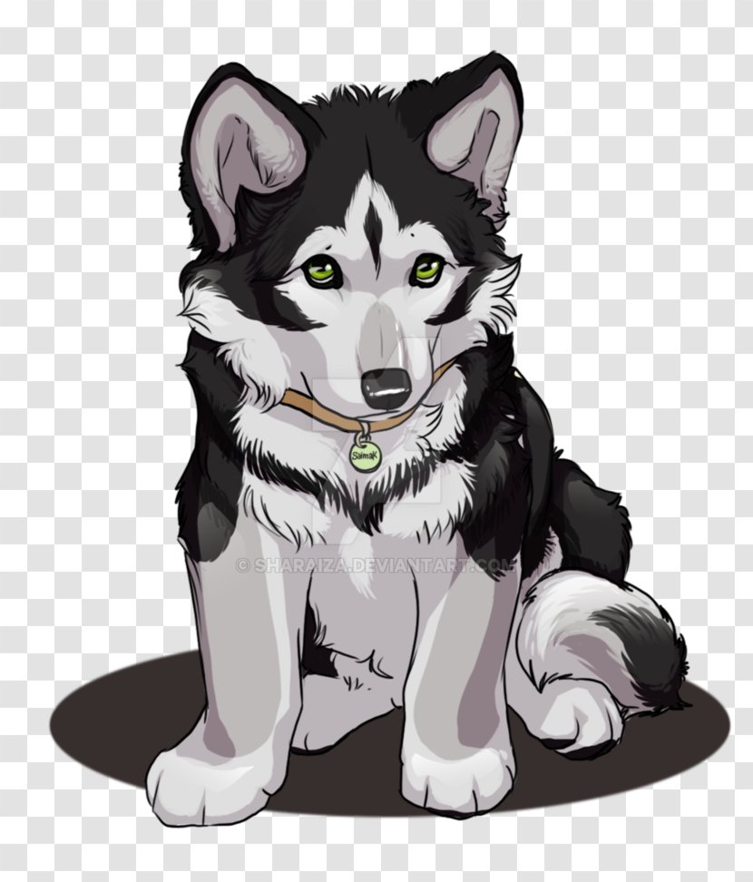 Miniature Siberian Husky Sakhalin Alaskan Malamute Klee Kai - Carnivoran Transparent PNG