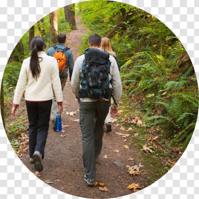 Walking Nature Ecopsychology Therapy Research - Adventure Film - Rapel Transparent PNG