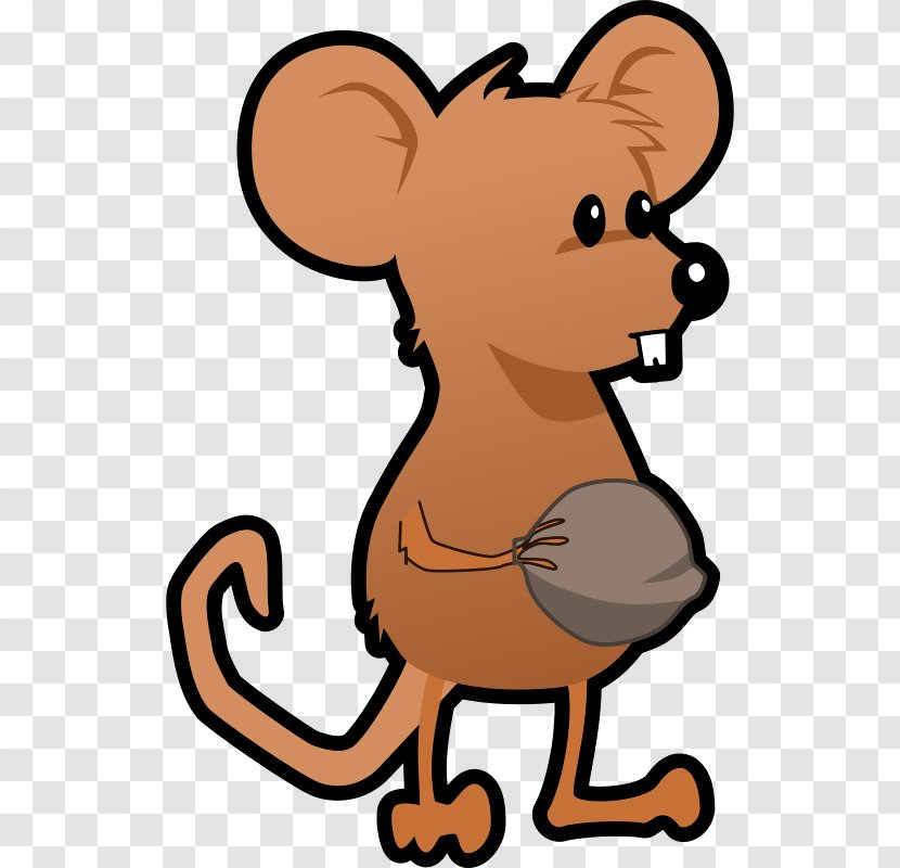Rodent Brown Rat Cat Clip Art - Squirrel Walnut Transparent PNG