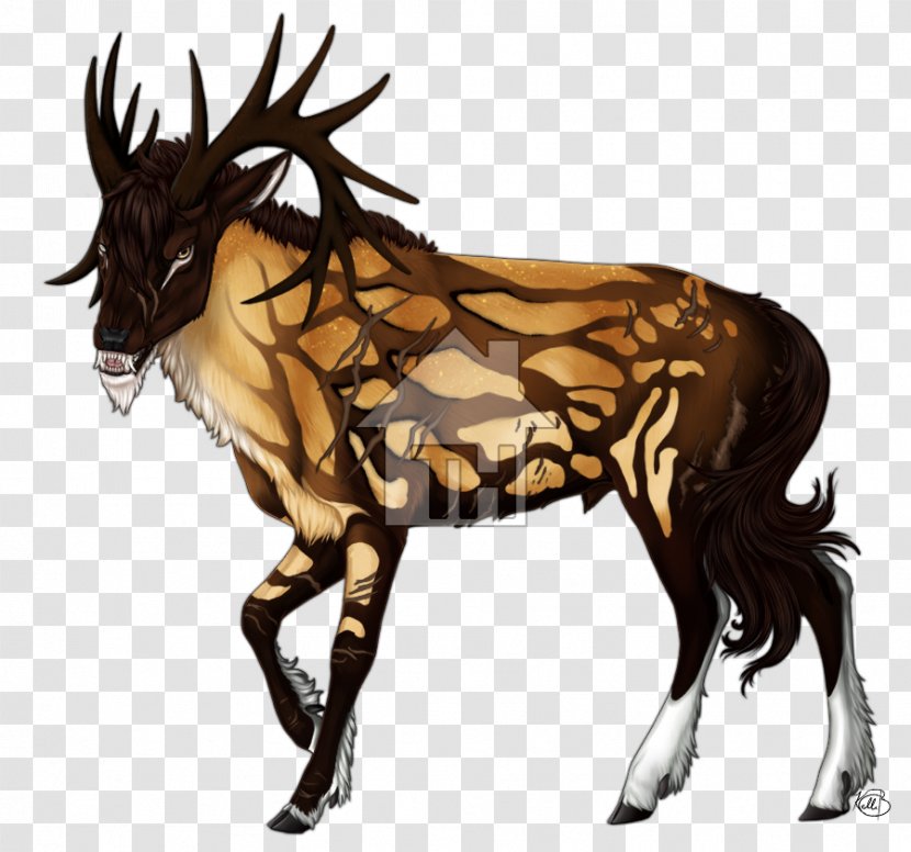Reindeer Horse Cattle Quagga Elk - Like Mammal Transparent PNG