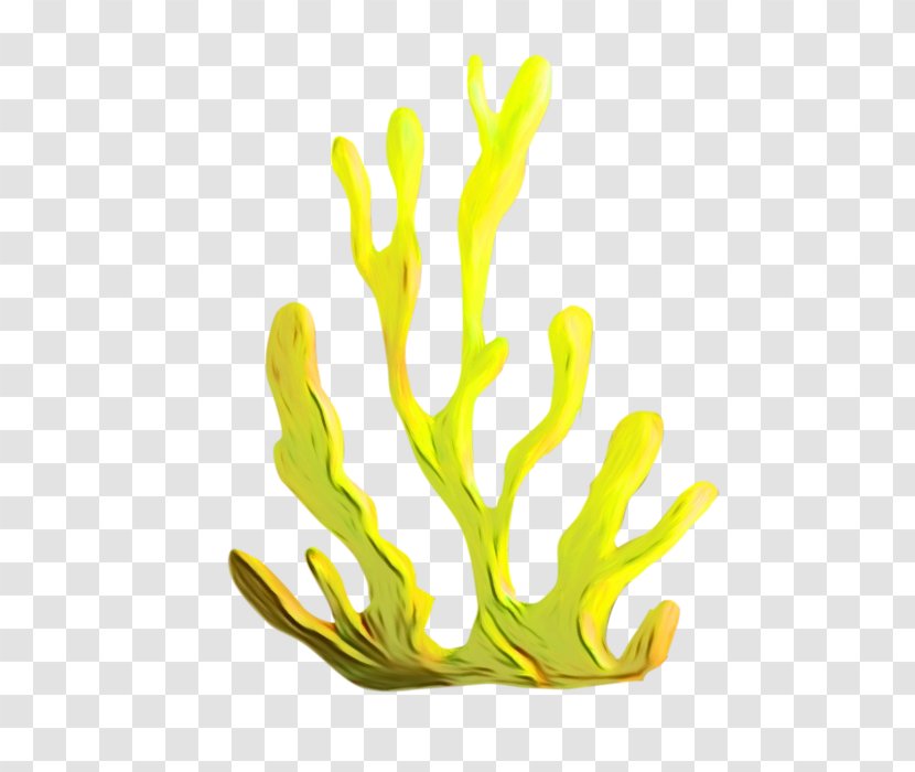 Aquarium Decor Yellow Hand Plant Transparent PNG