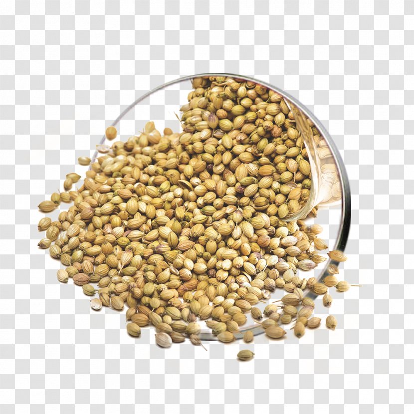 Lentil Coriander Vegetarian Cuisine Seed Herb - Superfood - Mohammad Ali Taraghijah Transparent PNG